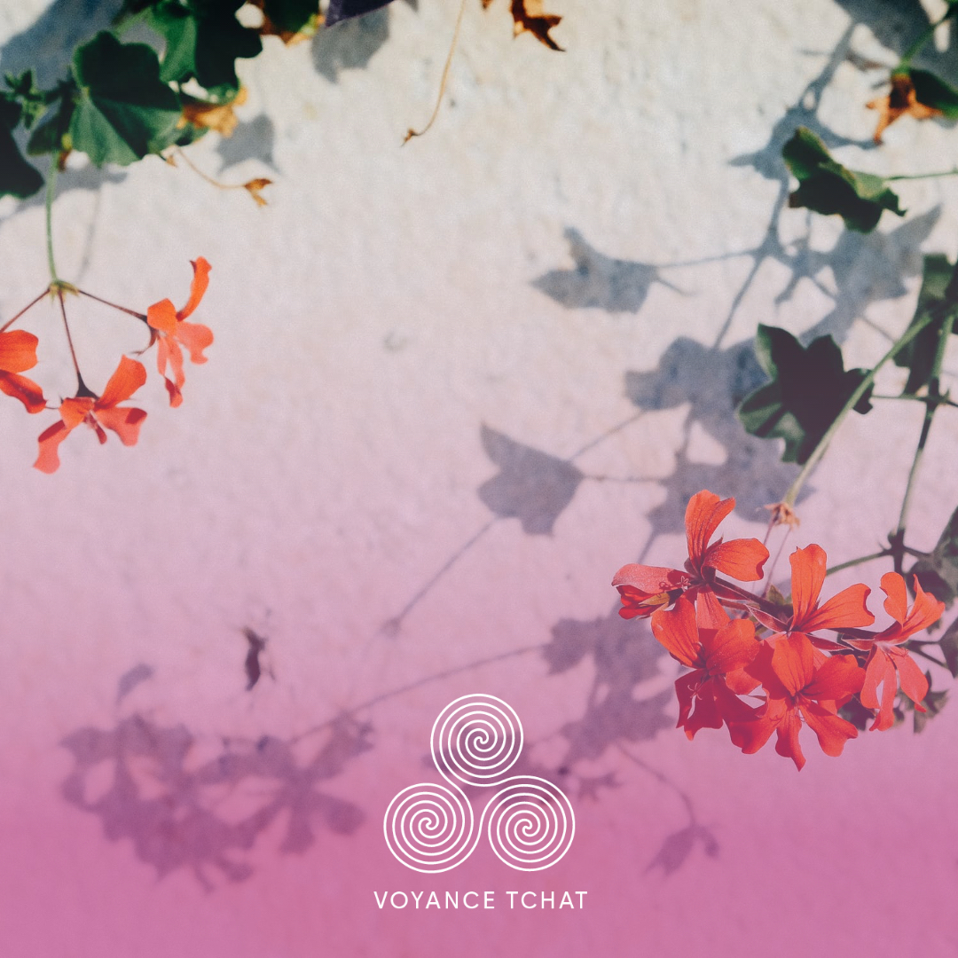 Voyance par les tarots